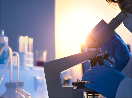 安博体育投注:国网2025岁月东区域低压电力电缆、一二次交融成套环网箱、柱上断路器协议库存第2次联合收购项目